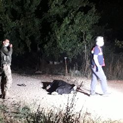 Şanlıurfa'daki arazi kavgasında 2 kişi hayatını kaybetti