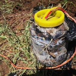 Tunceli'de patlayıcı ve mühimmat ele geçirildi