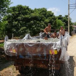 Adanalı çiftçi, çocuklar için römorktan havuz yaptı