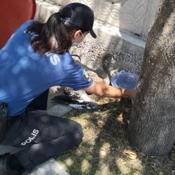 Aksaray polisi yaralı flamingoyu elleriyle besledi
