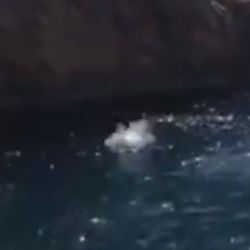 İspanya’da kayalıklardan denize atladı, hastanelik oldu