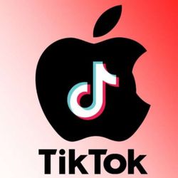 Apple'dan TikTok'u satın alma iddialarına cevap geldi
