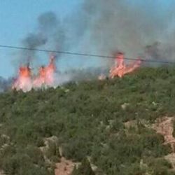 Isparta'da orman yangını etkili oldu