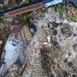 Hatay'da iki kaçak avcıya para cezası
