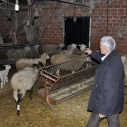 Balıkesirli çiftçi hırsızlara isyan etti