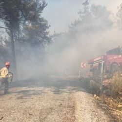 Muğla'daki yangın etkili oldu