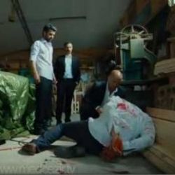 Medcezir 37. bölüm fragmanı - Tıkla İzle