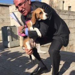 CHP'li Mahmut Tanal köpeğiyle basın toplantısı yaptı