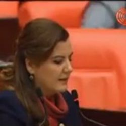 Fatma Kaplan: Üç erkek bir kabine neden girdi