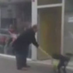 İstanbul'da sokak köpeğine sopayla dayak