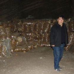 Afyon'da fiyatların yükselmesiyle 5 ton patatesi çaldılar