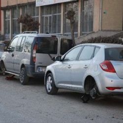 Batman'da lastik canavarları aranıyor