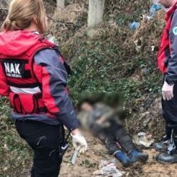 13 gündür aranan Alzheimer hastası ormanda ölü bulundu