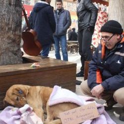 Sokak hayvanlarına soğukta battaniyeli önlem