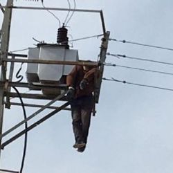 Çıktığı elektrik direğinde akıma kapılıp öldü
