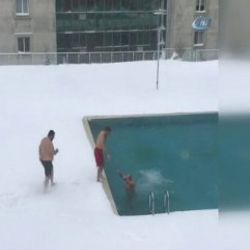3 kafadar karın içinden havuza atladı