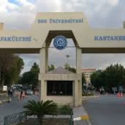 Otomobil çarpan Suriyeli küçük kız hayatını kaybetti