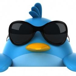 Twitter'a şimdi de GİF özelliği geliyor