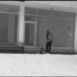 Üşüyen köpeğin üzerine çıkarttığı montunu örttü