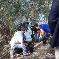 Terk edilmiş otomobilin sürücüsü Yeşilırmak’ta bulundu