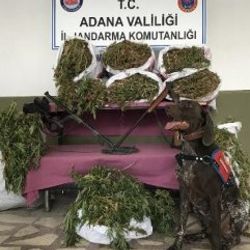 Adana'da 32 kilo esrarı radar buldu