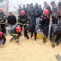 Kazada kopan kolu bulmak için seferber oldular