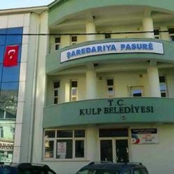 Diyarbakır'ın Kulp Belediyesine kayyum atandı