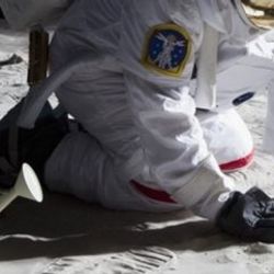 NASA uzayda çiçek yetiştirdi