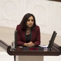 CHP'li Doğan: Anayasa teklifi yasalaşırsa AB süreci biter