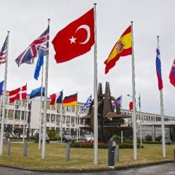 40 Türk subaydan Almanya'ya sığınma talebi