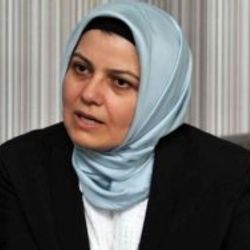 Böhürler: Gezi'de Kurtlar Vadisi senaryosu oynanıyor