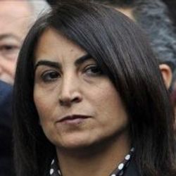 BDP'den Salih Fırat'a bize gel teklifi