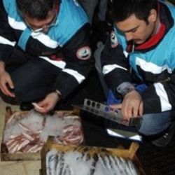 68 ton su ürününe el konuldu