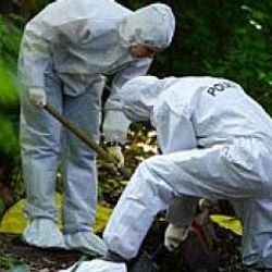 Almanya'da parkta bulunan 2 bavulun içinden ceset çıktı