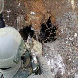 Bitlis’te 6 terörist öldürüldü
