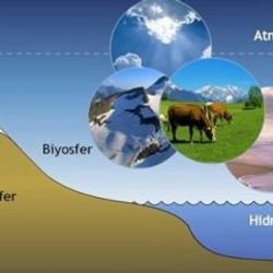 Biyosfer nedir