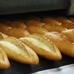 Bakan Çelik'ten GDO açıklaması