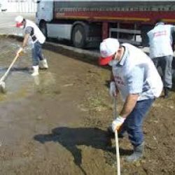 SÜTAŞ bir gecede çiçek açtı