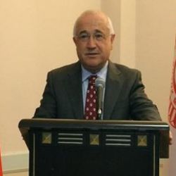 Cemil Çiçek: Sorun bizim olduğuna göre biz çözeceğiz