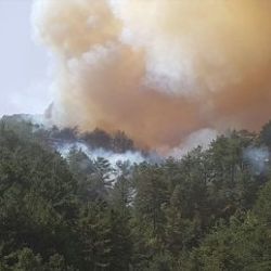 Kütahya'da ikinci orman yangını