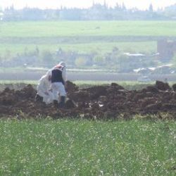 Hatay'a Suriye'den 3 top mermisi düştü