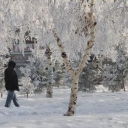 Ardahan'da hava eksi 32 derece