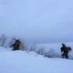 Şırnak’ta çatışma: 1 terörist öldürüldü