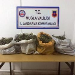 Muğla'da 10 kilogram kubar esrar ele geçirildi