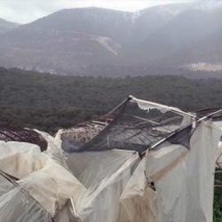Antalya’da hortum seraları mahvetti