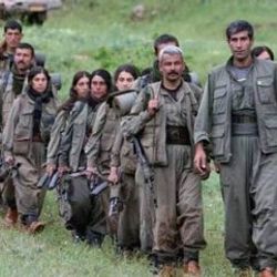 Ablası namus cinayetinde öldürülen çocuk PKK'yı ele verdi