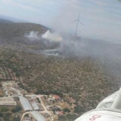 Alaçatı'da makilik alanda yangın çıktı
