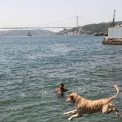 İstanbul 39 dereceyi gördü