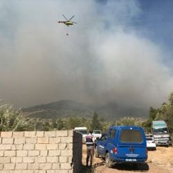 Antalya'da orman yangını