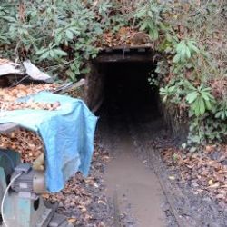 Zonguldak'ta 5 maden ocağı kapatıldı
